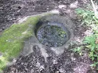 DSCN1291.webp