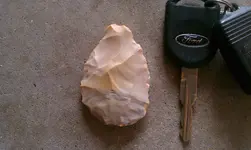 IMAG0117.webp
