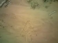 DSCF0079.webp