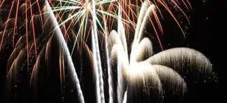 FIREWORKS.webp