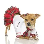 CHEERLEADER.webp
