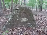 trail marker.webp