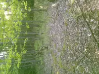 ForumRunner_20120603_134841.webp