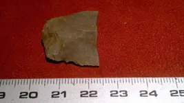 3 029_800_450.webp