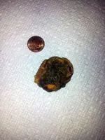 20120728_214437.webp