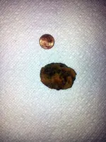 20120728_214455.webp