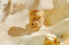 Clay Pipe Stem (5).webp Clay Pipe Stem (5).webp