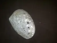 IMG-20120615-00306.webp
