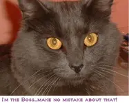 DSCF1600.webp