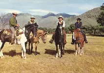 Bonanza !!.webp Bonanza !!.webp