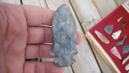 DSCF0157.webp