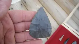 DSCF0162.webp