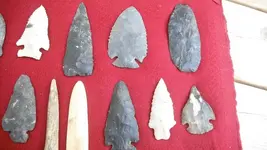 DSCF0163.webp