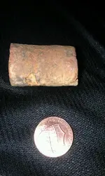 close up bone fossil.webp