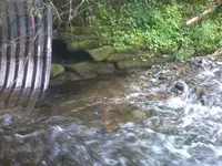 Photo0104.webp
