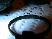 junk 005.webp