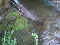 Photo0105.webp