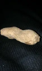 close up peanut fossil.webp