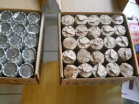 DSCN5220.webp