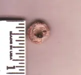 Lead Cap Back.webp