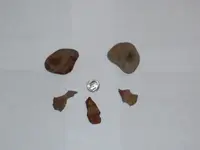 Picking Stones and AHs Pic 2.webp