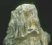 fibrous_yellow.webp