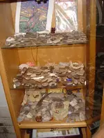 DSC03228.webp
