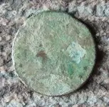 Half Cent at Steppe Farm 001.webp