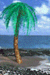 !cid_00c801c783c2$f3332d60$fd004ad1@Amish.gif !cid_00c801c783c2$f3332d60$fd004ad1@Amish.gif