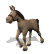 !cid_00ca01c783c2$f3332d60$fd004ad1@Amish.gif !cid_00ca01c783c2$f3332d60$fd004ad1@Amish.gif