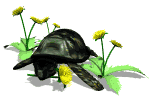 !cid_00da01c783c2$f3359e60$fd004ad1@Amish.gif !cid_00da01c783c2$f3359e60$fd004ad1@Amish.gif
