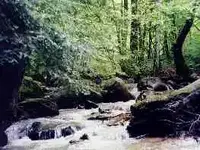 teenstrwtp03s.webp