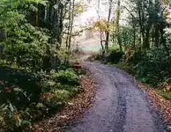 tennwtf01s.webp