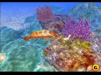 everblue_screen010_image.webp