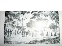 comm 1.webp