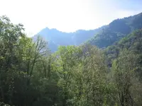 Chimney Tops.webp