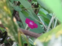 Copy of Copy of IMG_3181.webp