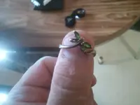 2012-07-29 12.19.16.webp