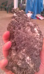 IMAG0210.webp