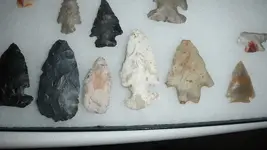 DSCF0138.webp