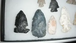 DSCF0137.webp