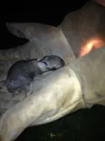 image-3561760642.webp