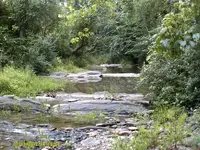 DSCF0013 (800x600).webp