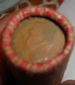 DSCN4315.webp