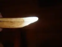 bone tool white tip2.webp