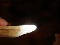 bone tool white tip4.webp