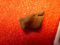 DSC02027.webp