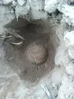 2012 313.webp