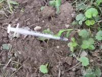 SAM_2389.webp SAM_2389.webp