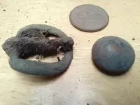 Buckly SusanB Button.webp